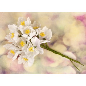 Hello Pastel Flower Stem - White